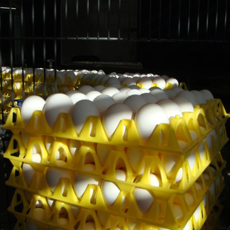 Frühlings-Anlass 2016