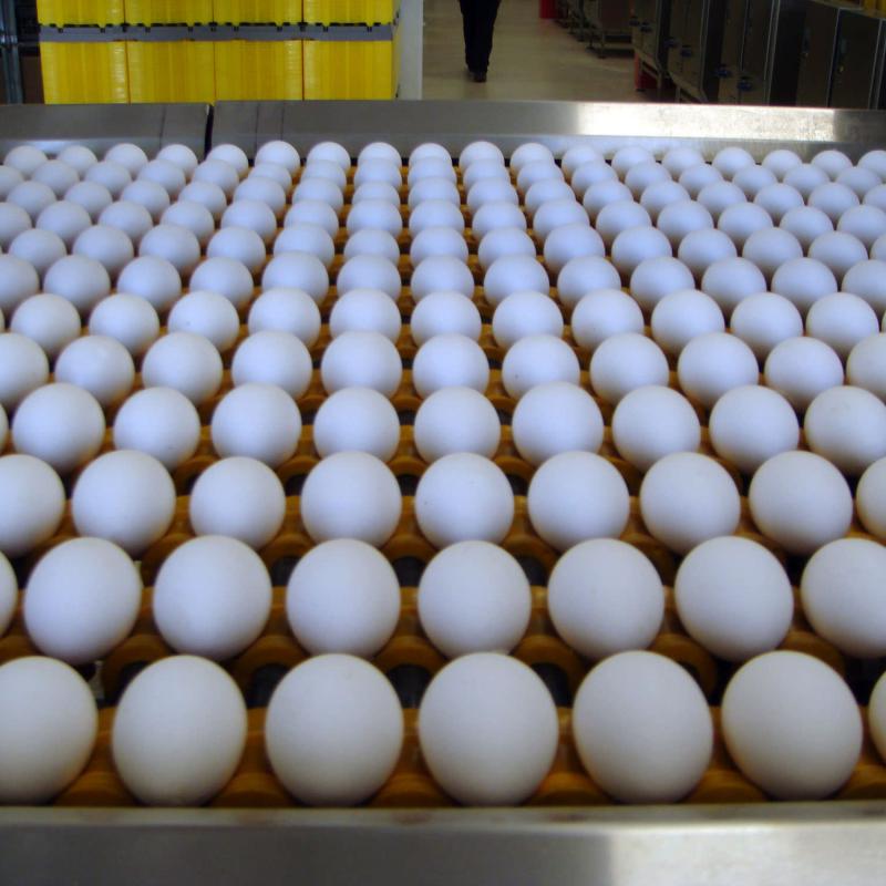Frühlings-Anlass 2016