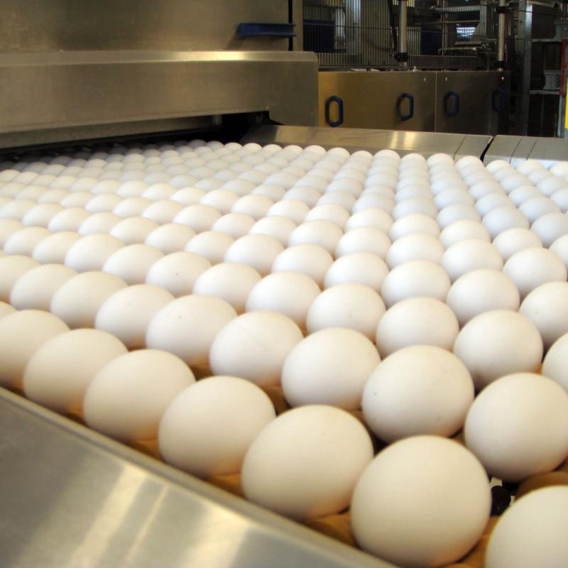 Frühlings-Anlass 2016